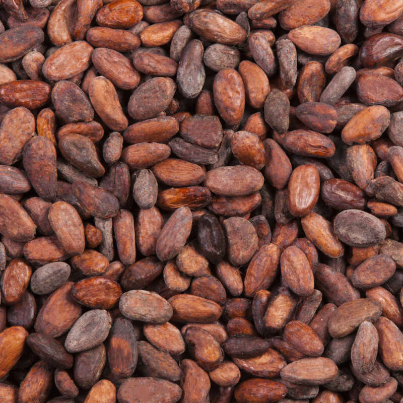 Fèves de Cacao du Vietnam - Cacao cru